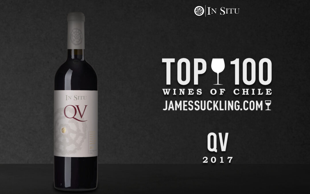 In Situ Family Vineyards within the best 100 chilean wines