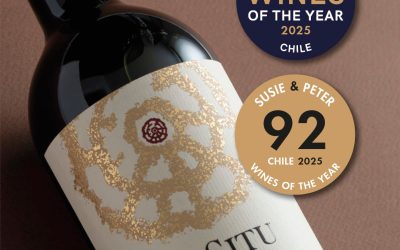 Laguna del Inca -«Chilean Wines of the Year»